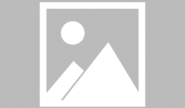 91爆料免费吃瓜爆料在线看,免费吃瓜，海量资讯一网打尽！