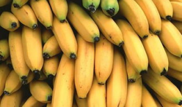 91大茄子香蕉直播,揭秘网红直播背后的精彩故事